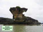 Индонезийско-малайзийско-брунейский остров чудес природы