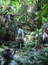 В джунглях Эквадора никак не обойтись без каноэ и мачете