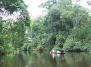 статья В джунглях Эквадора никак не обойтись без каноэ и мачете
