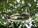 Мадагаскар – заповедный остров хамелеонов и лемуров – часть 2