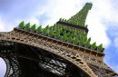 Озеленят ли символ Парижа?